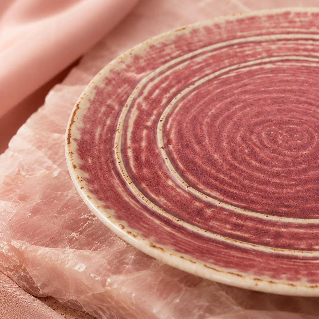 Close-up ceramic texture of coral pink dinner plate