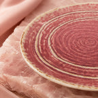 Close-up ceramic texture of coral pink dinner plate