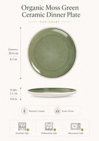 Dimensions of moss green ceramic dinner plat