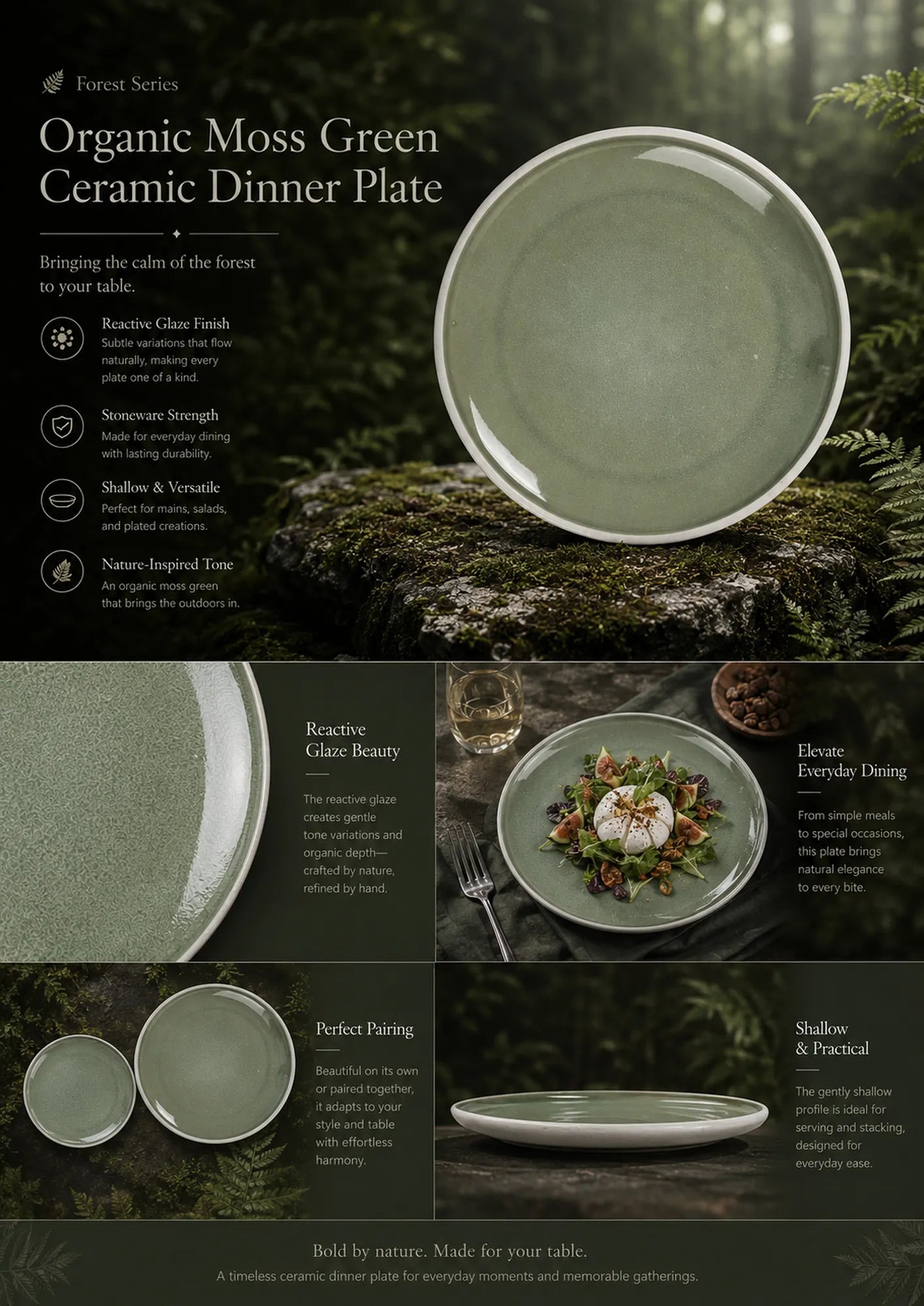 Detailed overview infographic of moss green ceramic dinner plate featuring textured glaze, dining atmosphere, and product dimensions