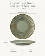Dimensions of sage green ceramic dinner plate